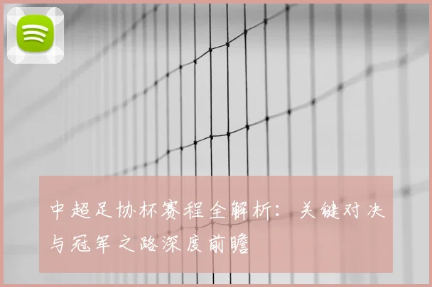 中超足协杯赛程全解析:关键对决与冠军之路深度前瞻